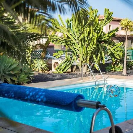 Velas * Коральео